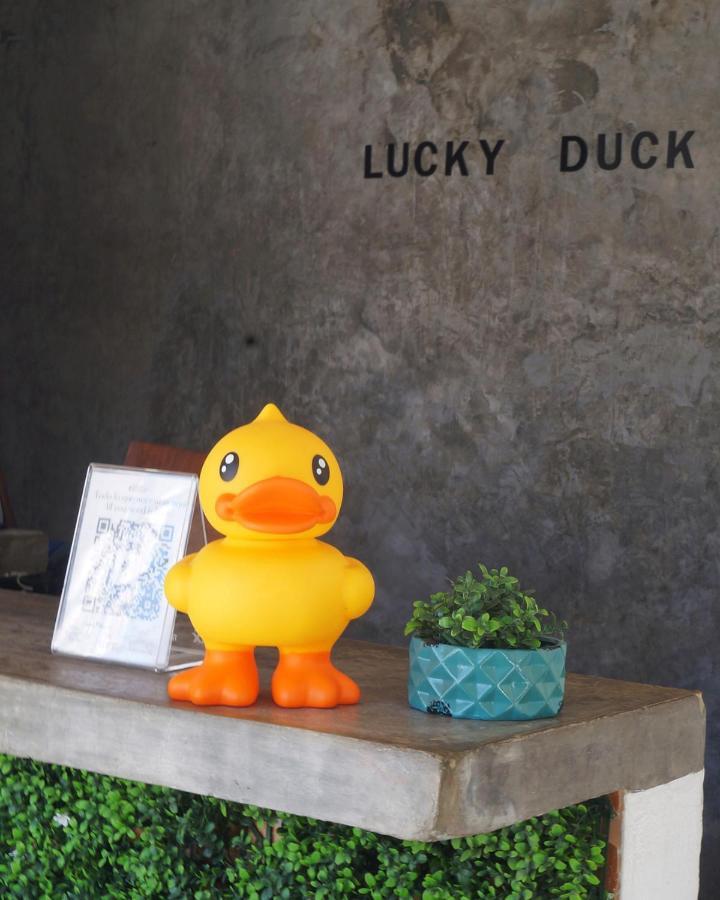 Lucky Duck Pj Hotel Cancun Luaran gambar